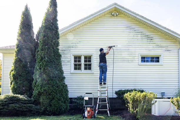 Best Solar Panel Cleaning  in Hunter, TN